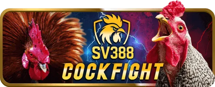 Trò chơi đá gà hk68